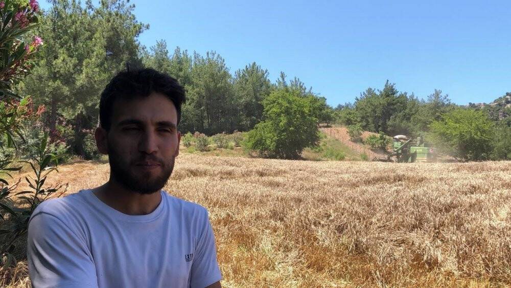 800 rakımlı zorlu arazide son buğday hasadı yapıldı