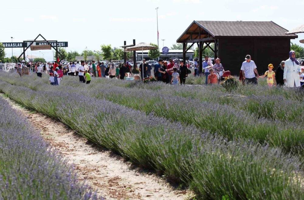 Karatay Lavanta Bahçesi kapılarını ziyaretçilerine açtı