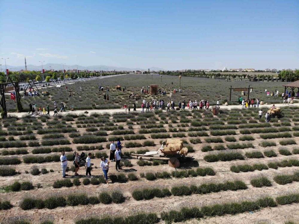 Karatay Lavanta Bahçesi kapılarını ziyaretçilerine açtı