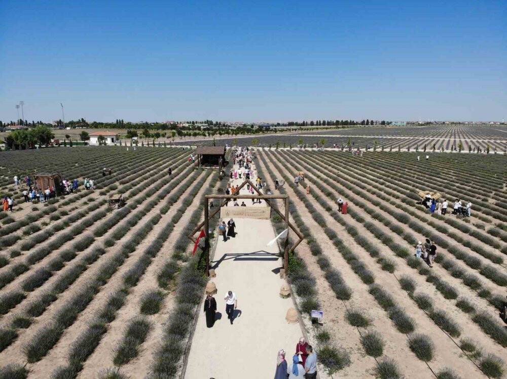 Karatay Lavanta Bahçesi kapılarını ziyaretçilerine açtı