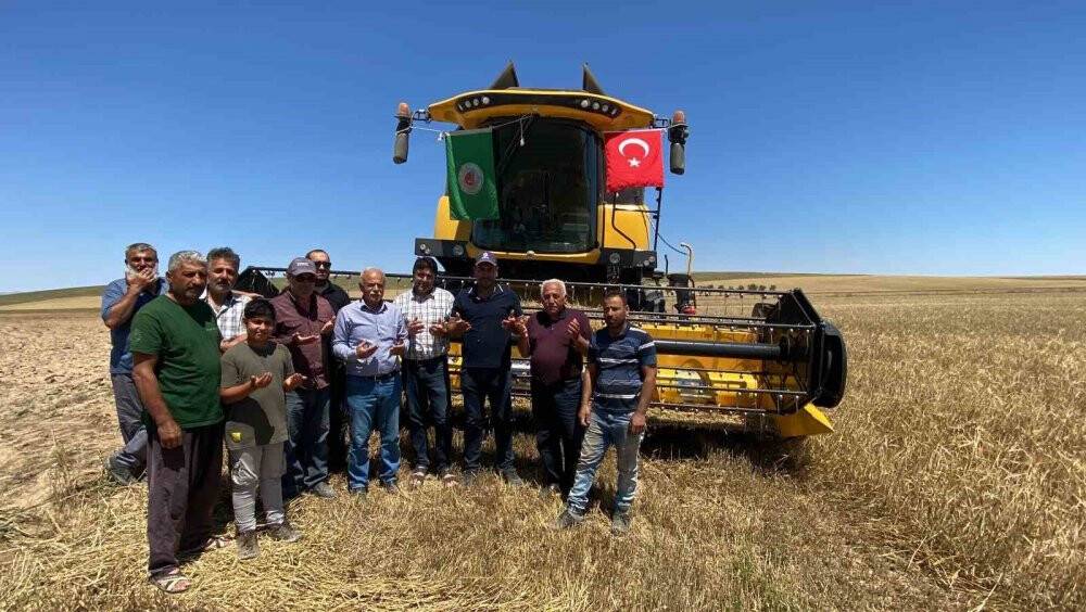 Kulu’da arpa ve buğday hasadı başladı