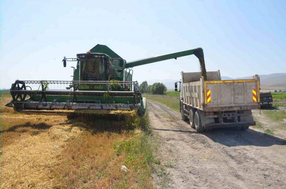 Adabağ’da yılın ilk organik tarım hasadı başladı
