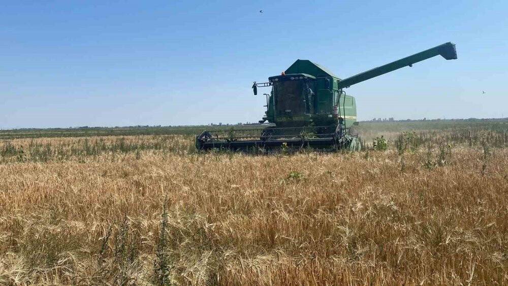 Adabağ’da yılın ilk organik tarım hasadı başladı