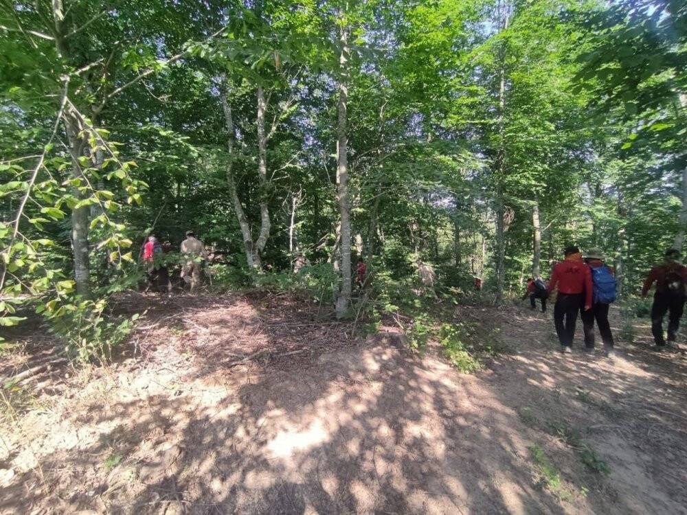 Ekonomist Korhan Berzeg 22 gündür kayıp, arama alanı genişletiliyor