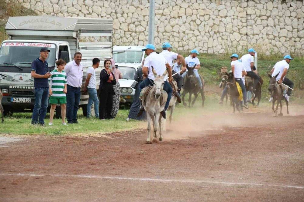 Eşekler birinci olmak için yarıştı