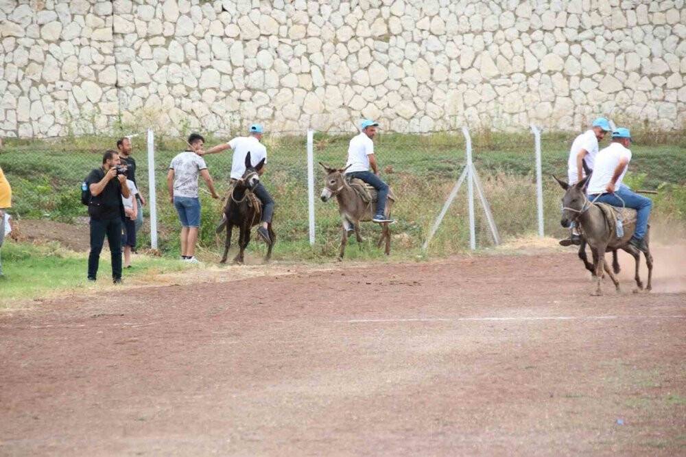 Eşekler birinci olmak için yarıştı