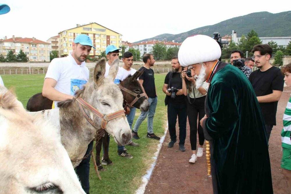 Eşekler birinci olmak için yarıştı