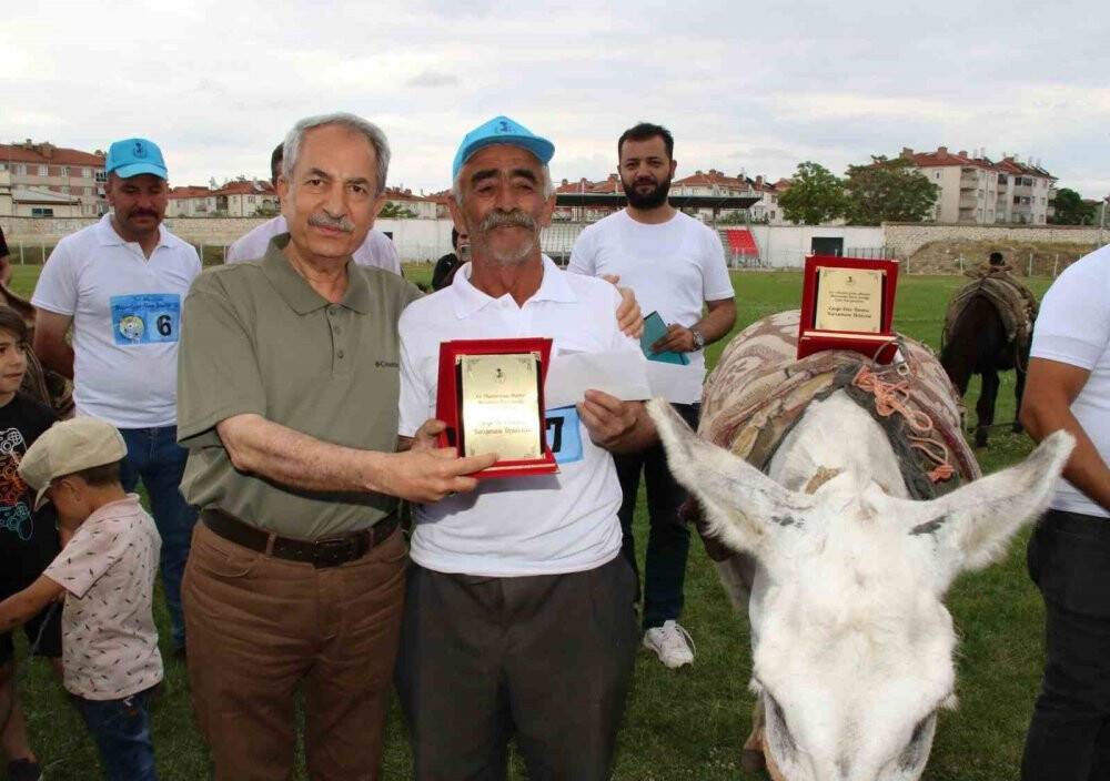 Eşekler birinci olmak için yarıştı