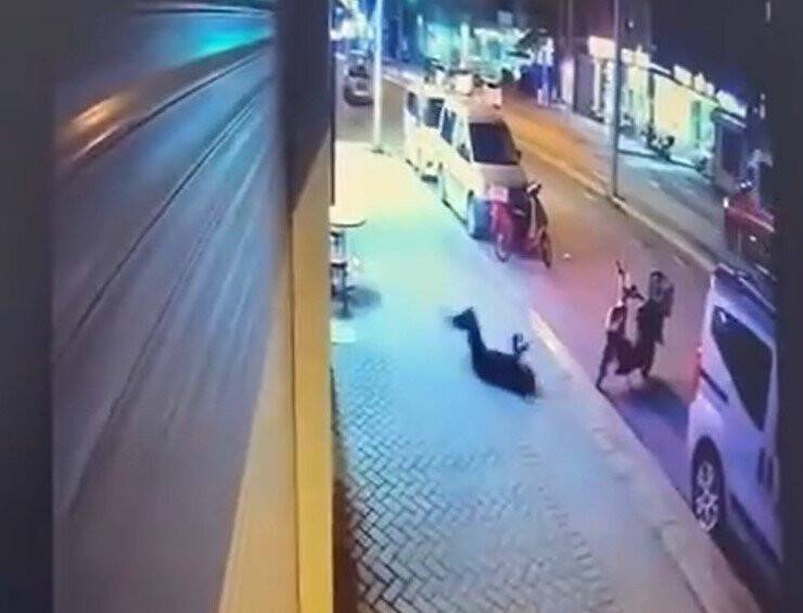 Sevgilisinin ölümünden dolayı tutuklanan zanlı kendisini savunurken şiir okudu