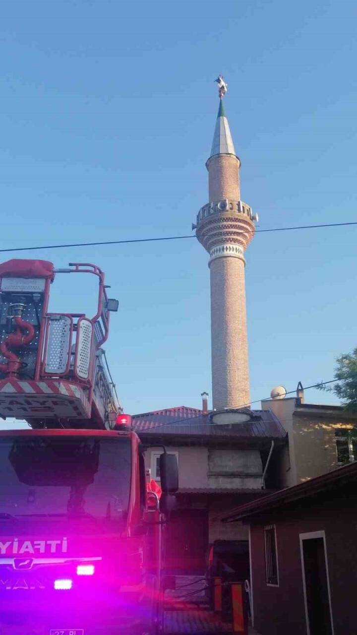 Cami minaresine takılan leylek kurtardı