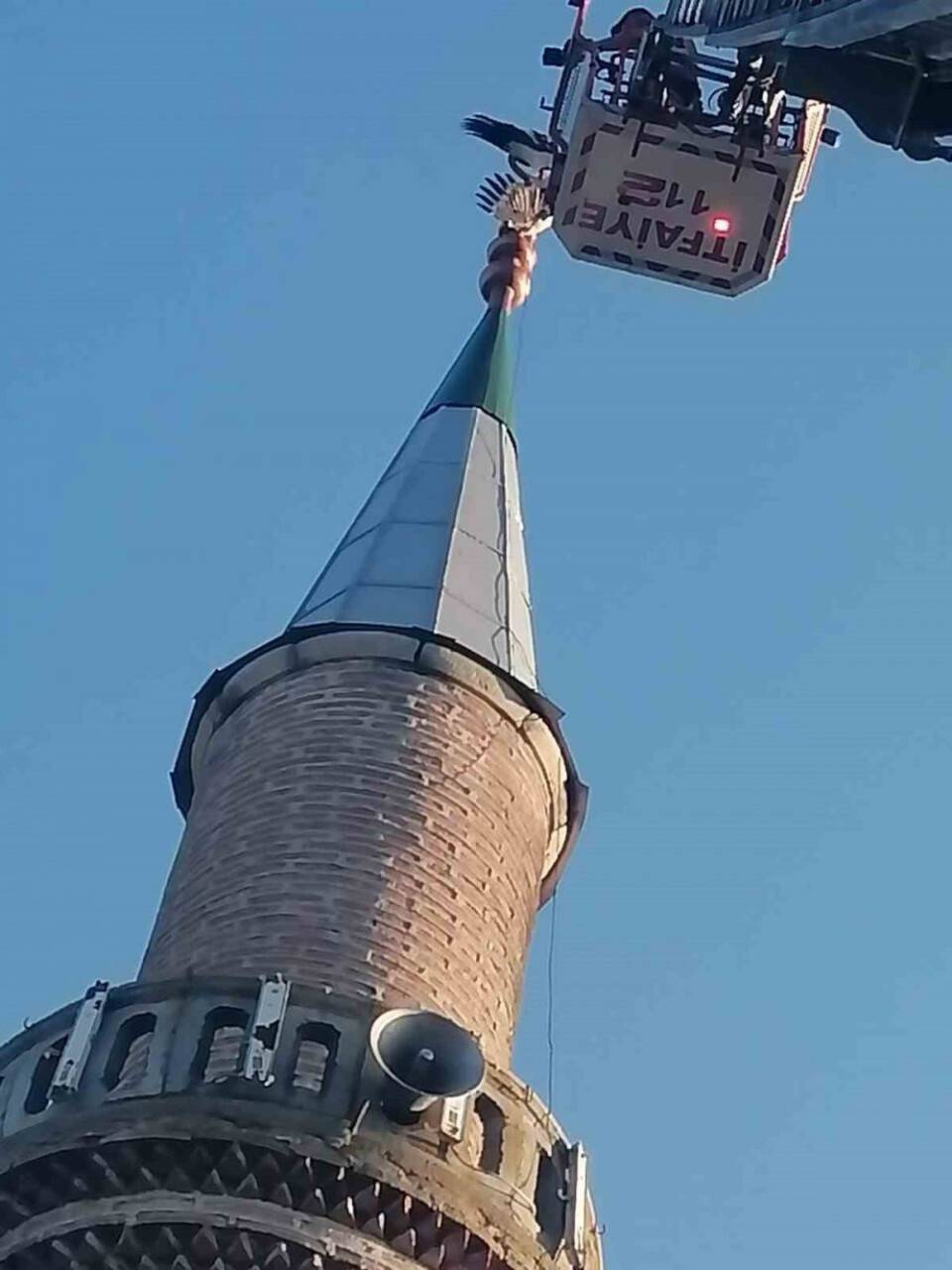 Cami minaresine takılan leylek kurtardı