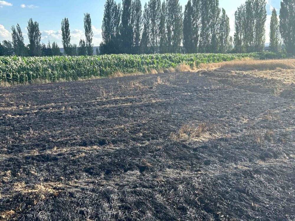 Elektrik akımına kapılan kuşun sebep olduğu yangında araziler zarar gördü