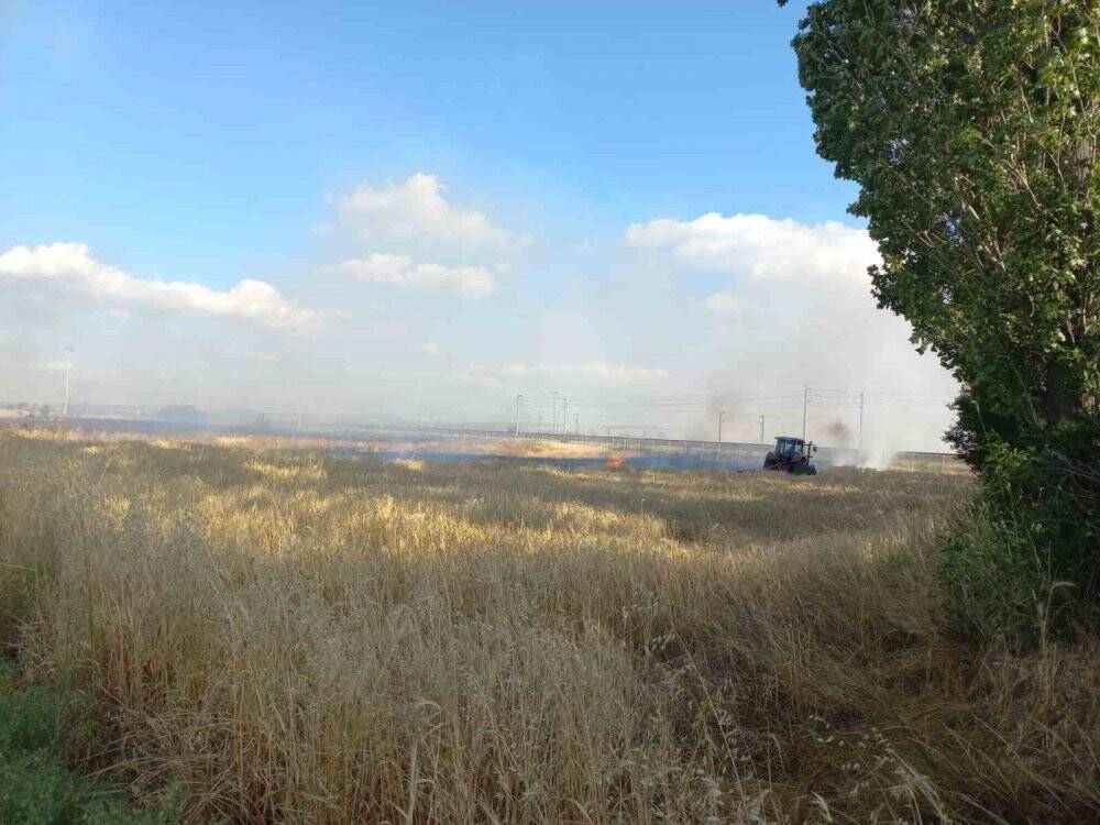 Elektrik akımına kapılan kuşun sebep olduğu yangında araziler zarar gördü