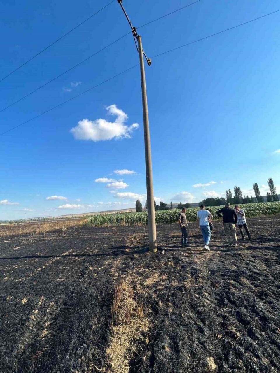 Elektrik akımına kapılan kuşun sebep olduğu yangında araziler zarar gördü
