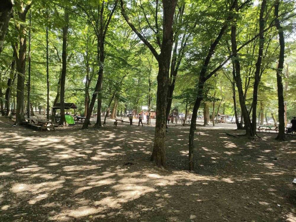 Polis ekipleri orman yangınlarına karşı vatandaşı uyardı