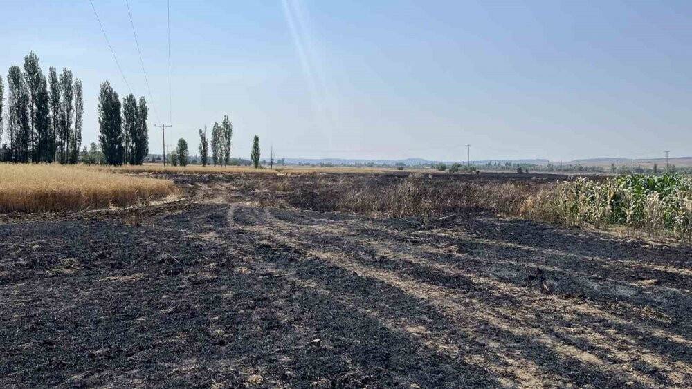 Havada güvercin kovalayan atmaca bakın neye sebep oldu?