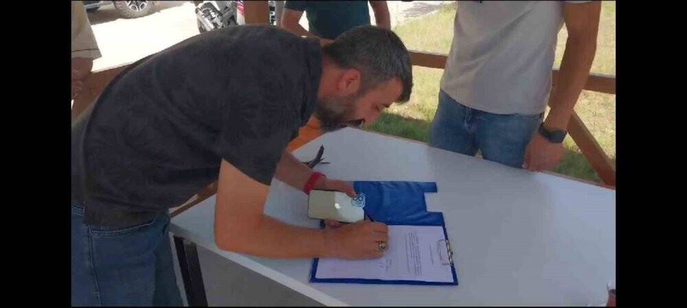 Bitkin düşen ebabil kuşu tedavi altına alındı