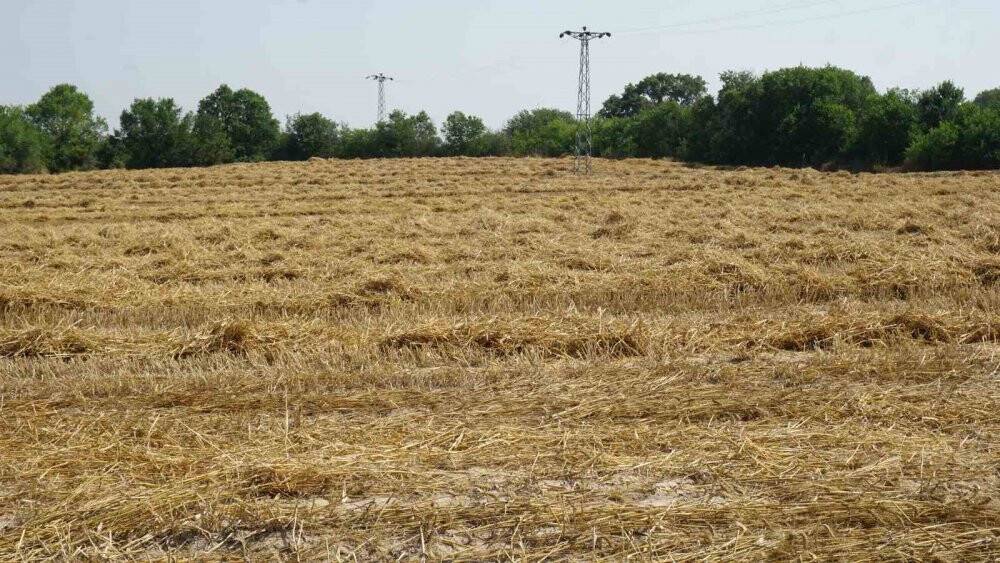 Aşırı sıcaklar hububat tarlalarında yangın riskini artırıyor