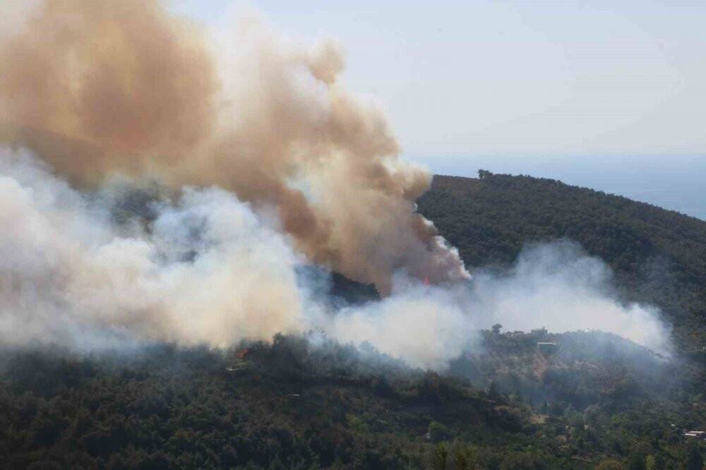 Hatay’daki orman yangınına müdahale sürüyor