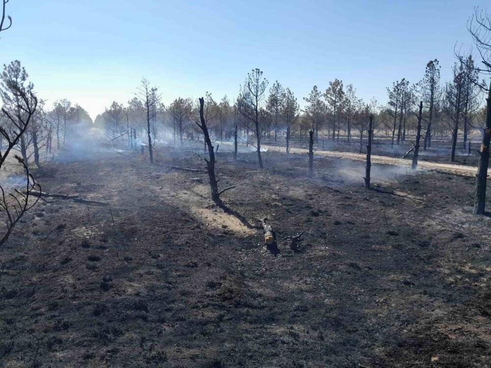 Konya’da ormanlık alanda yangın çıktı