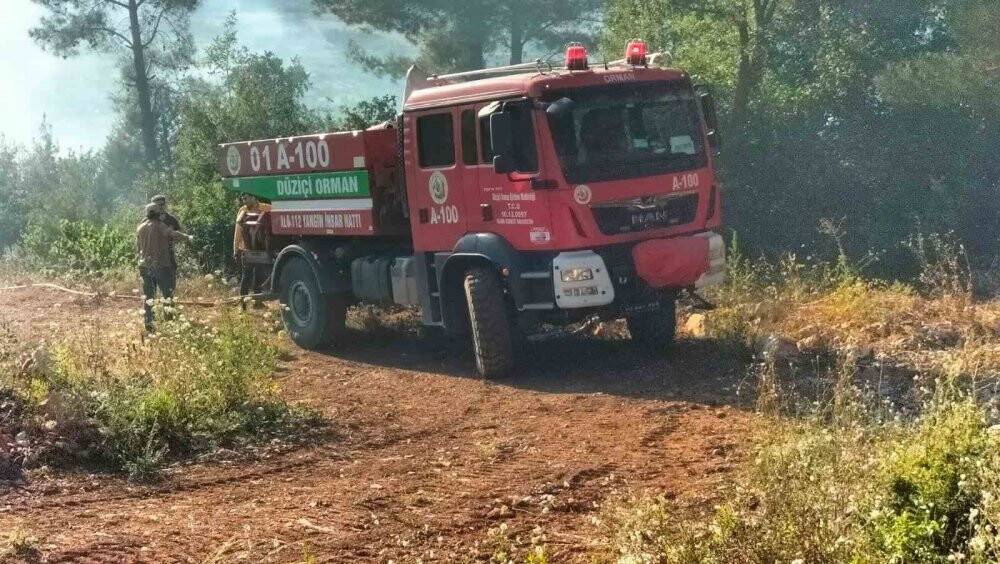 Osmaniye’de anız yangını ormana sıçradı