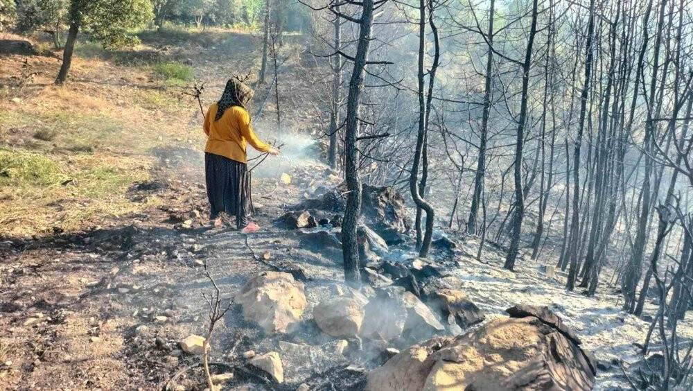 Osmaniye’de anız yangını ormana sıçradı