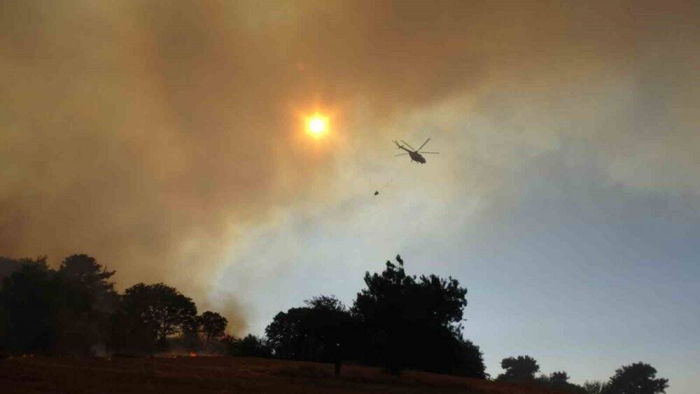 Türkiye'nin dört bir yanından orman yangını haberleri geliyor
