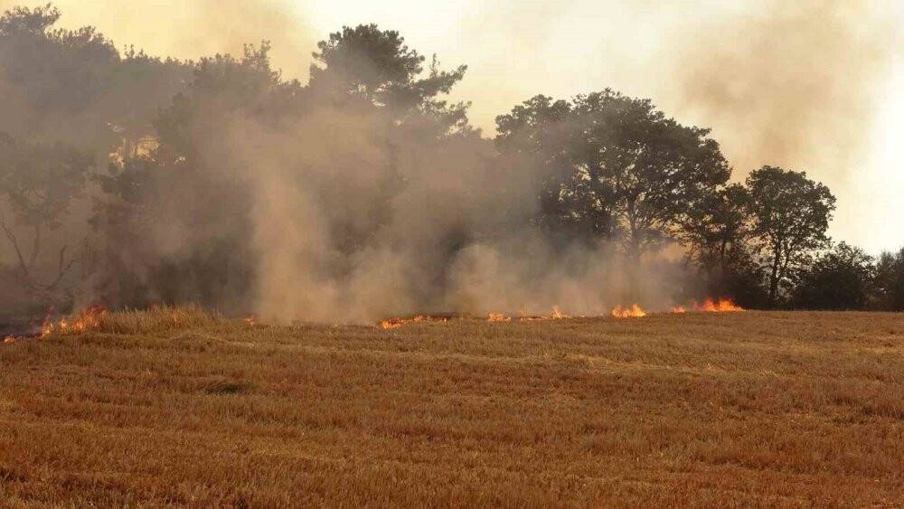 Türkiye'nin dört bir yanından orman yangını haberleri geliyor