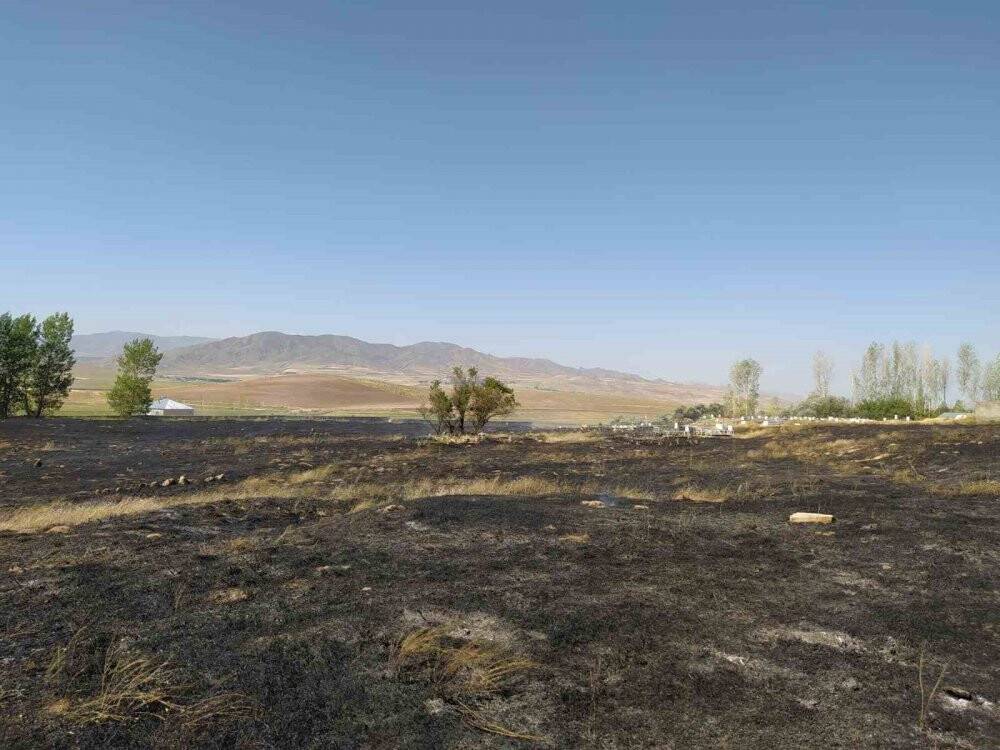 Van’da mezarlık yangını