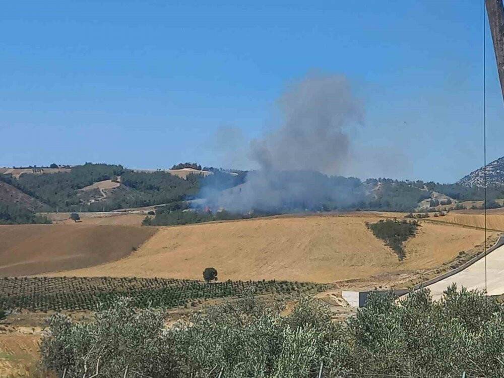 Adana’da orman yangını çıktı