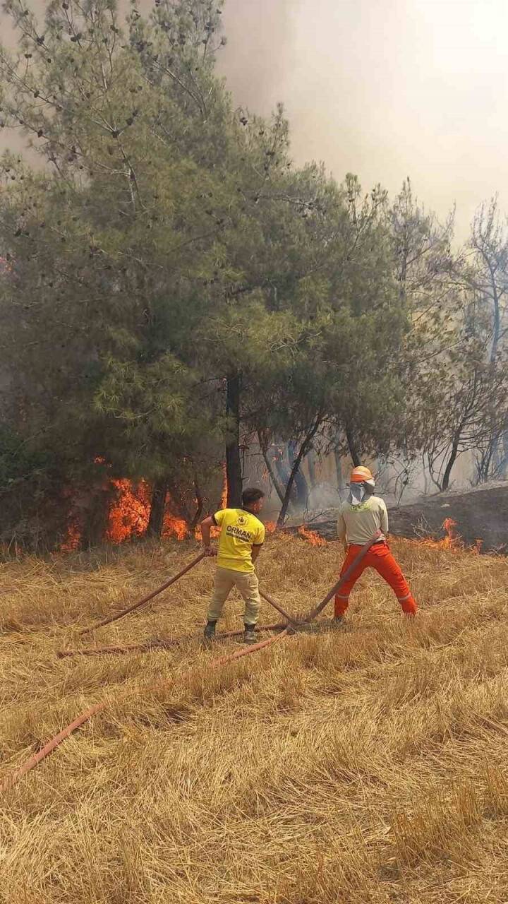 Adana’da orman yangını çıktı
