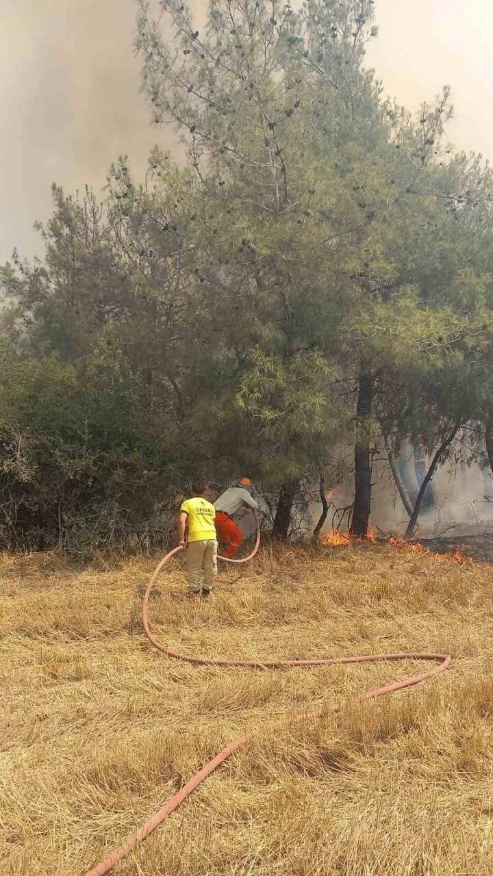 Adana’da orman yangını çıktı