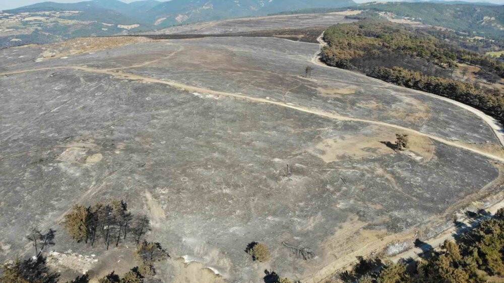 Çanakkale’deki yangın 52 saat sonra kontrol altına alındı