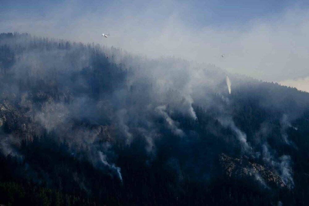 İsviçre’de ormanlık alanda yangın