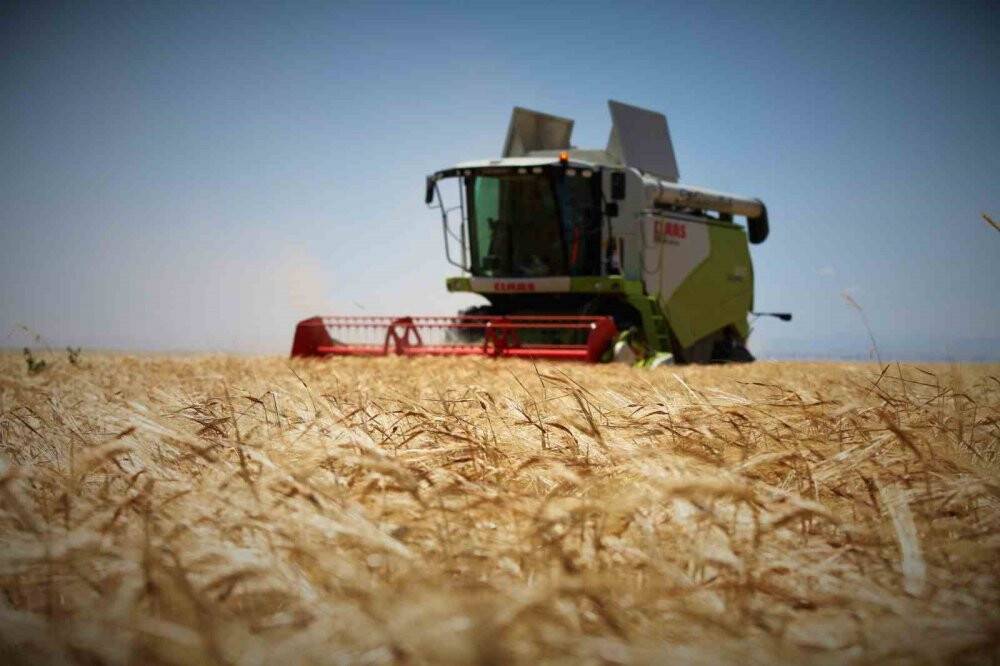 Tahıl ambarı Konya Ovası'nda 2 milyon 400 bin ton buğday rekoltesi beklentisi