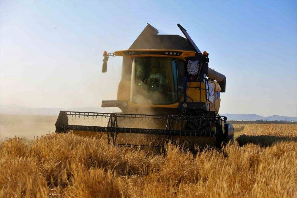 Tahıl ambarı Konya Ovası'nda 2 milyon 400 bin ton buğday rekoltesi beklentisi