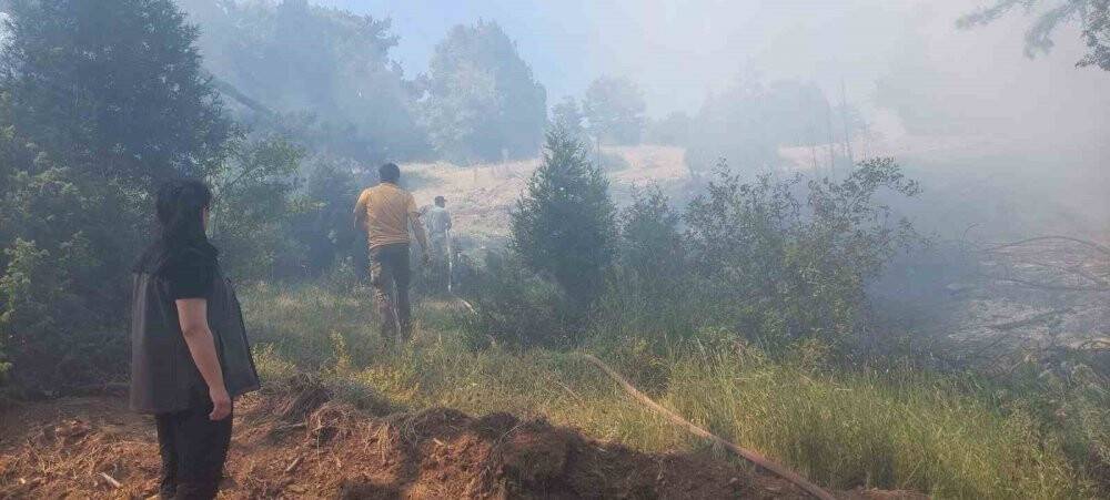 Kütahya’da çıkan orman yangını kontrol altına alındı