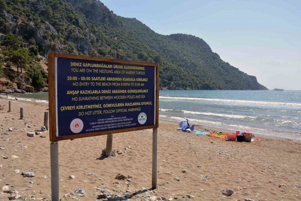 Caretta yuva sayısı 600’e ulaştı