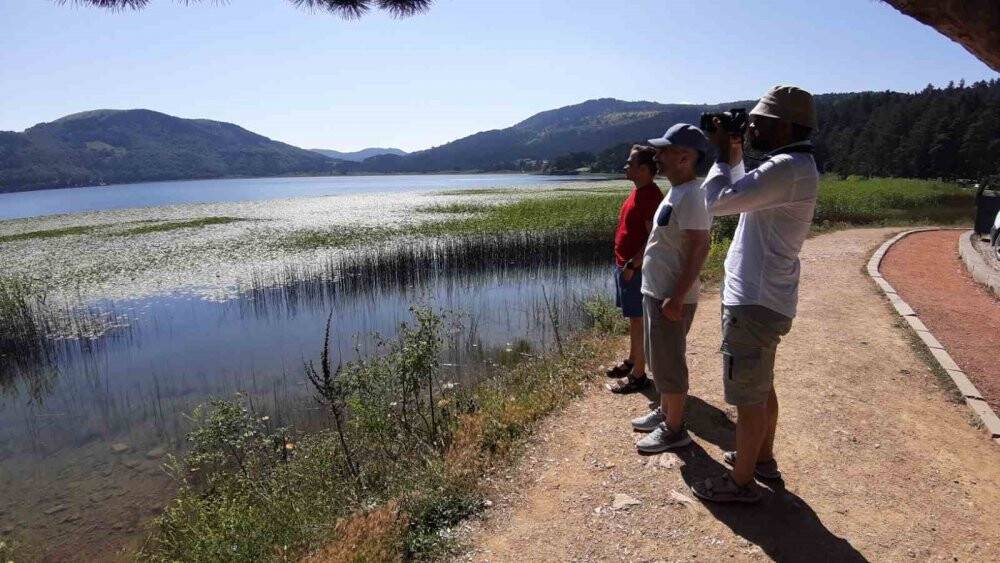 Sıcaktan bunalanların adresi doğa harikası Abant oldu