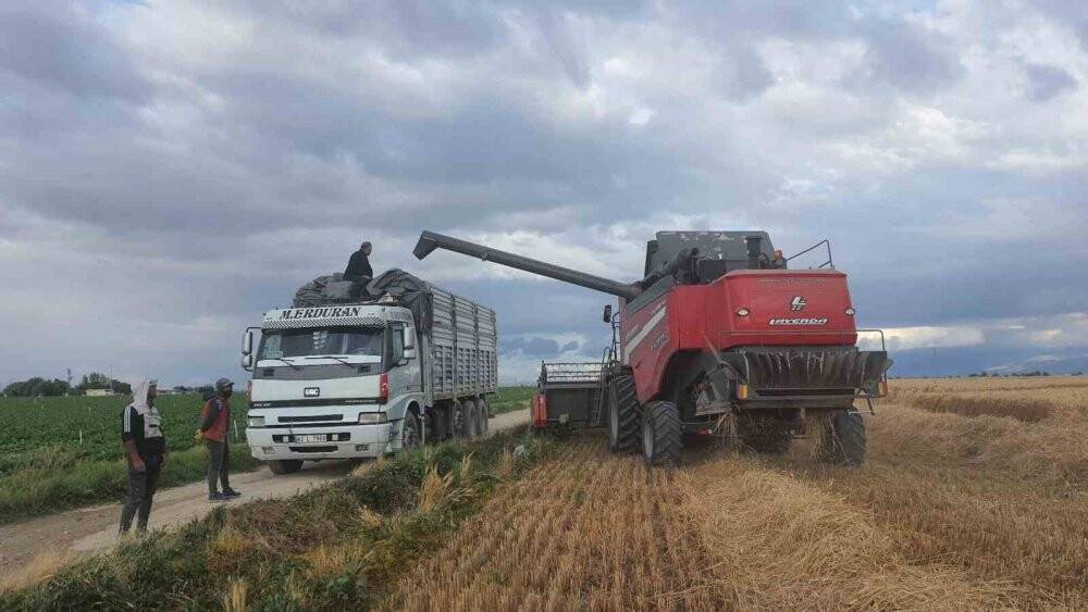 Konyalı çiftçi bir ilke imza attı: Dekara bin 200 kilo verim elde etti