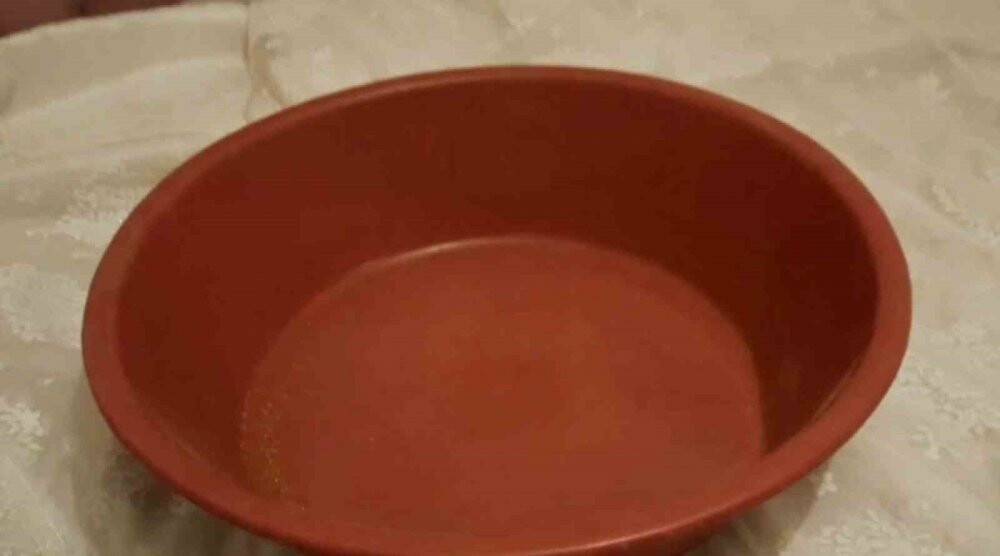 Sini ve leğende bonzai çıktı