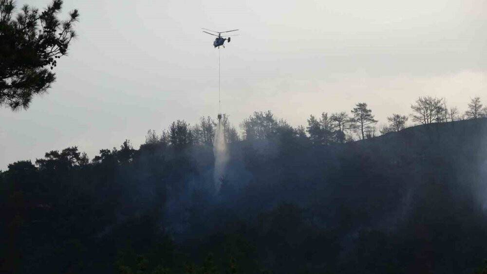 Çanakkale’deki orman yangınına hava müdahalesi başladı