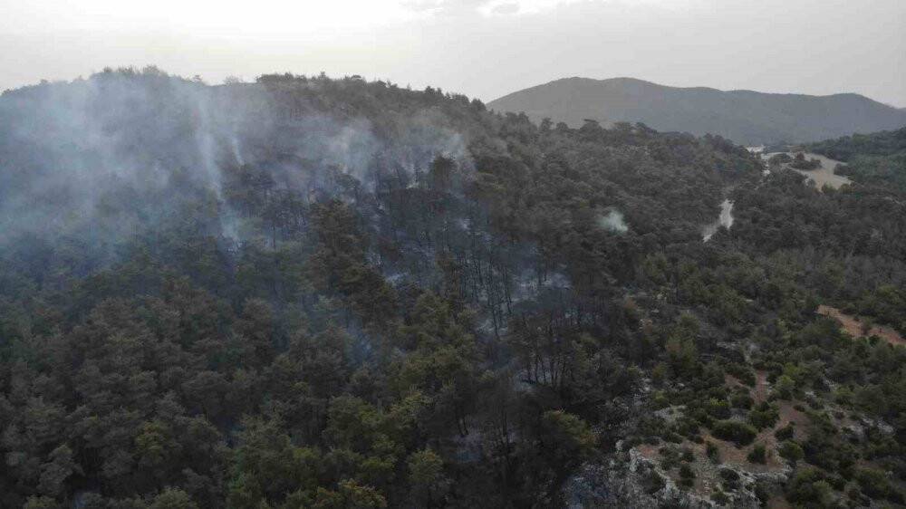 Çanakkale’deki orman yangınına hava müdahalesi başladı