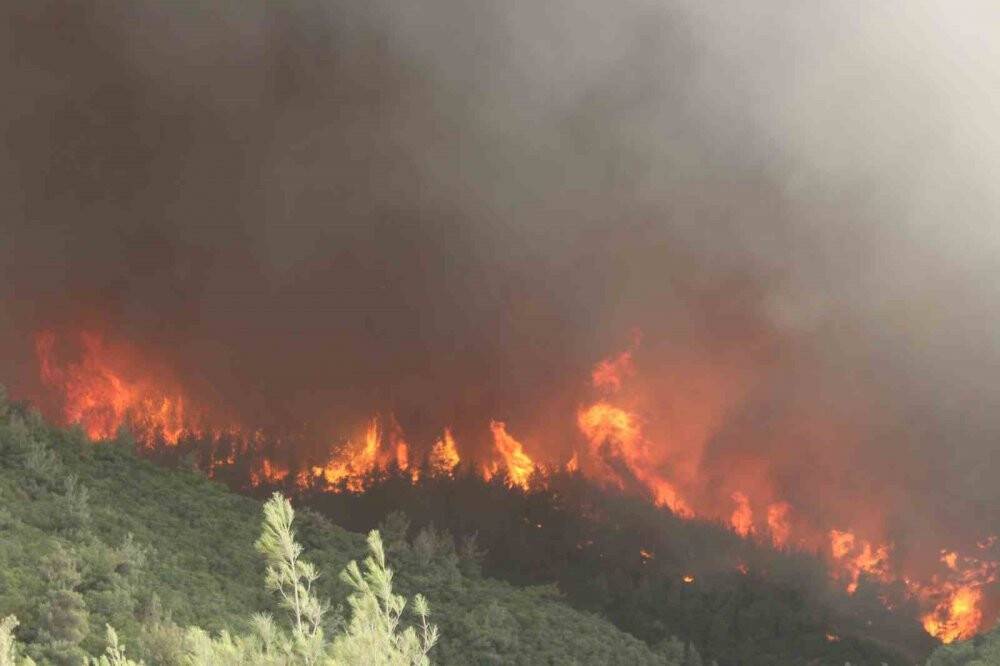 Kınık’taki orman yangını kontrol altında