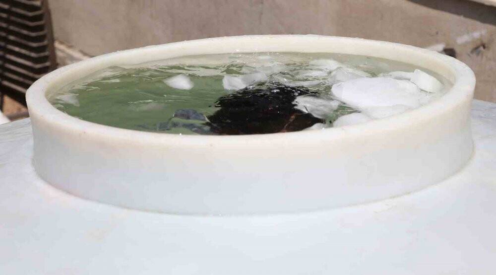 Sıcaktan bunalan fırıncılar 2 tonluk buzlu varilde serinledi