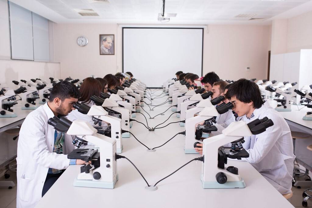 tip-lab.jpg