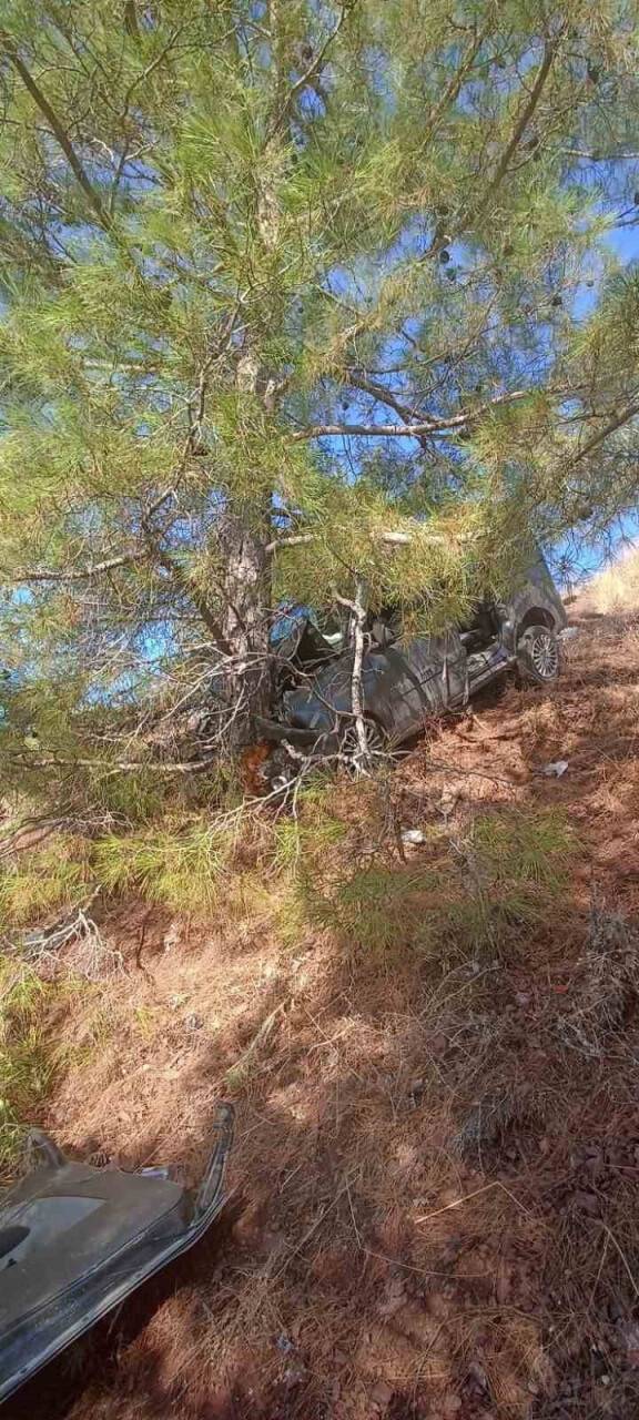 park halindeki araç uçuruma düştü