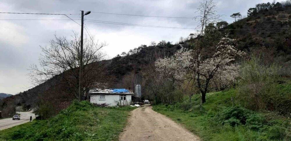 3 aydır süren esrarengiz kazı! Kimse yaklaştırılmıyor