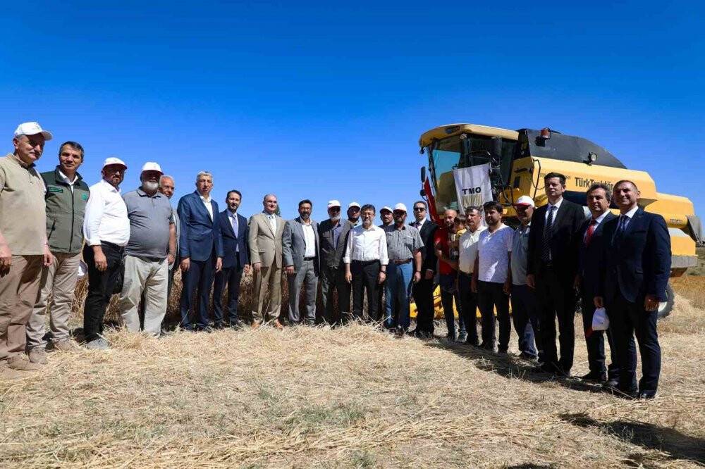 Bakan Yumaklı Konya'da 'Sarı Kız' ile  buğday hasadı yaptı