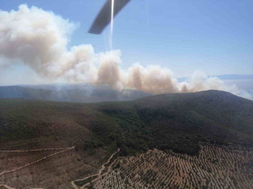 Çeşme'de orman yangını